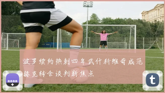 波罗续约热刺四年武什科维奇成范赫克转会谈判新焦点