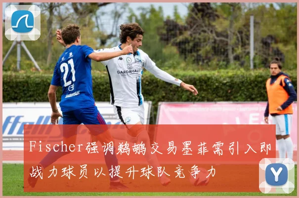 Fischer强调鹈鹕交易墨菲需引入即战力球员以提升球队竞争力